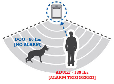 Alarm Trigger